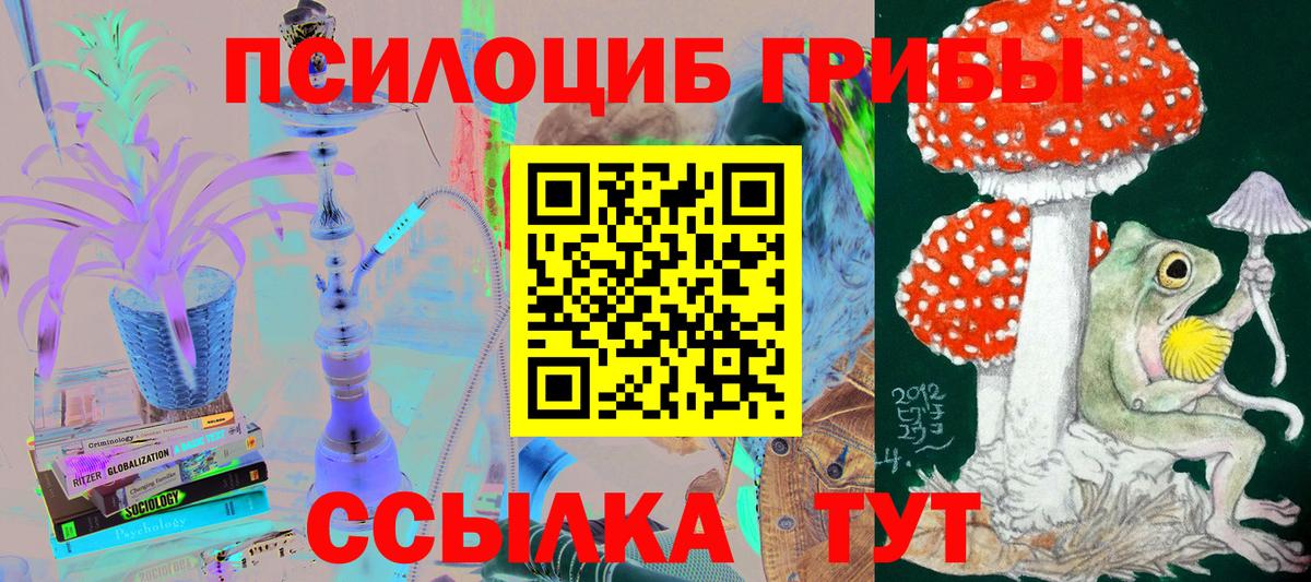 Псилоцибиновые грибы Psilocybine cubensis Кунгур