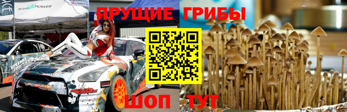 Псилоцибиновые грибы Magic Shrooms  Вход с VPN  Кунгур 